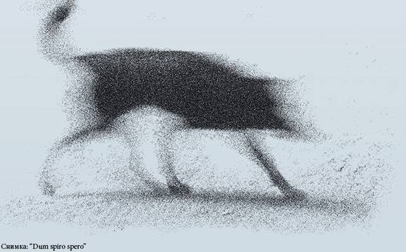 Утре „КинеДок“ представя хърватската лента „Докато дишам, се надявам“