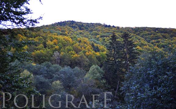 Вижте филма, заради който МОСВ може да глоби Беър Грилс