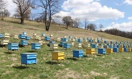 ДФЗ ще компенсира земеделски стопани за унищожени животни и кошери