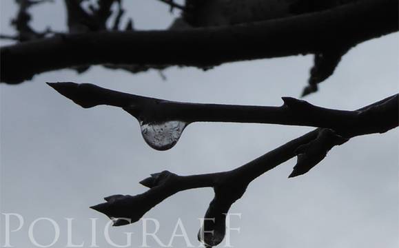 Неделята ще бъде облачна и мразовита