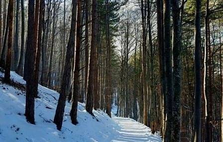 Днес слънчево с максимални температури между 2° и 7°