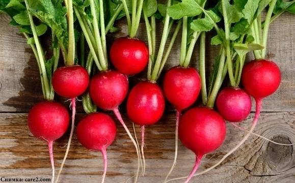 5-те суперхрани на март