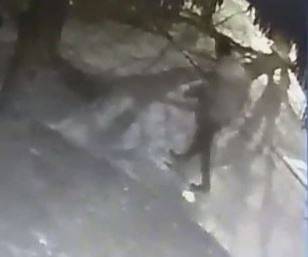 Издирват убиеца на таксиметровия шофьор в Разград