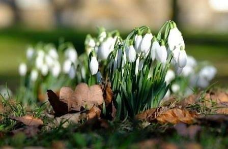 Днес слънчево с максимални температури между 15° и 20°