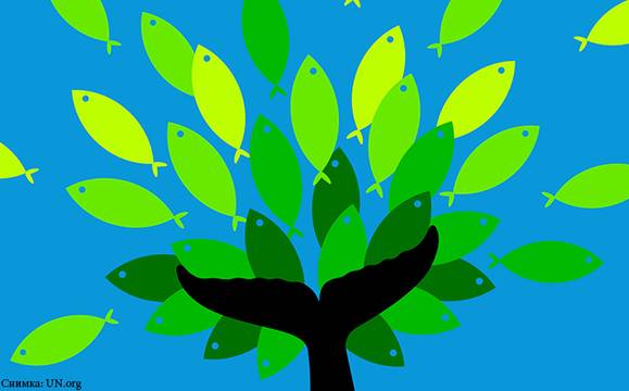 ООН отбелязва Световния ден на дивата природа