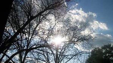 Днес слънчево с максимални температури между 15° и 20°