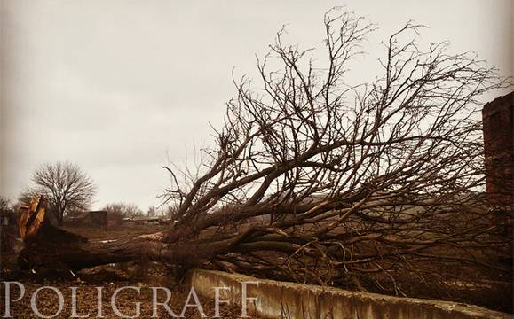 Торнадо отне живота на най-малко 23 души в Алабама