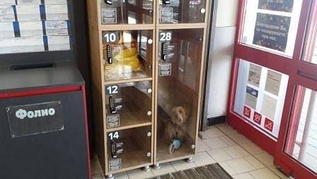 Гражданин е заключил кучето си на багаж в супермаркет в столицата