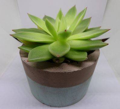 Бетонна саксия в кафяво и синьо – Декор и Обзавеждане, Мебели, Винтидж Осветление, Бетонни вази и саксии