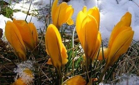 Днес предимно слънчево с максимални температури между 8° и 13°