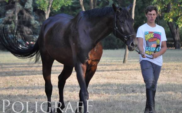 Тодоровден е! Честито на имениците!