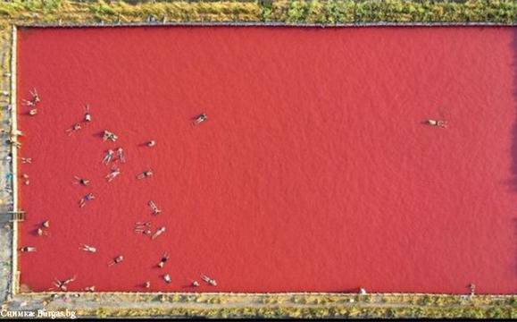 Снимка на бургаските солници спечели награда на Световната фотографска организация