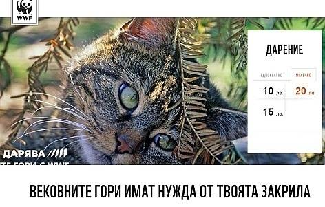 Скандалната WWF събира пари за горите у нас. Хората негодуват