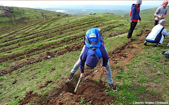 Доброволци възстановяват опожарената гора между селата Банево и Изворище