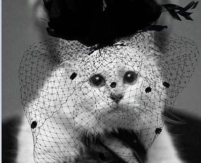 Котката на Лагерфелд пусна колекция в негова памет (СНИМКИ)