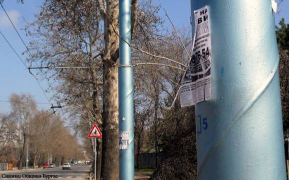 Общината: Лепенето на реклами по дървета и стълбове в Бургас все още е забранено