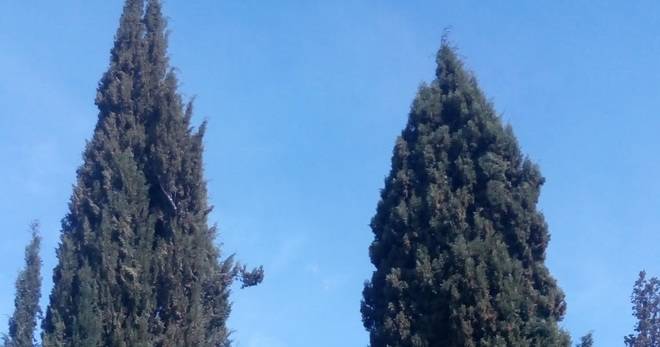 Парк Аязмото „Митрополит Методий Кусев“