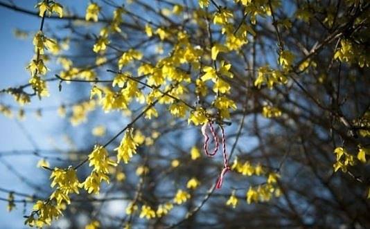 Днес слънчево и по-топло. Максималните температури ще са между 14° и 19°