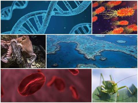 10 научни факти, които ще ви изумят