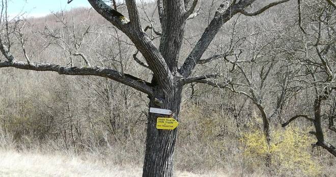 КАК ДА СТИГНЕМ ДО СКАЛЕН МАНАСТИР И КАРА ПЕЩЕРА ПРЕЗ СТАРОСЕЛЕЦ (ЧАСТ 1-ДО ПЪРВА СПИРКА „ЛАГЕРА“)