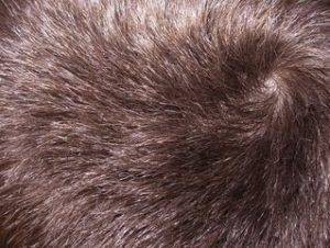 Оплешивяване