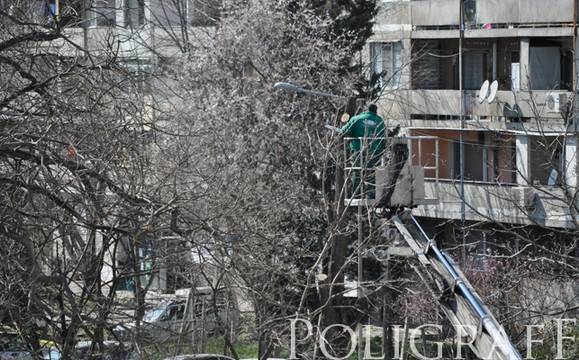 И в сряда ще подрязват дървета по бул. „Демокрация“