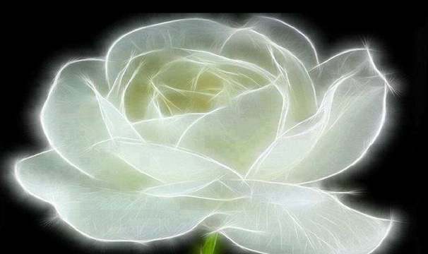 Душата на Жената е свещена диамантена Роза