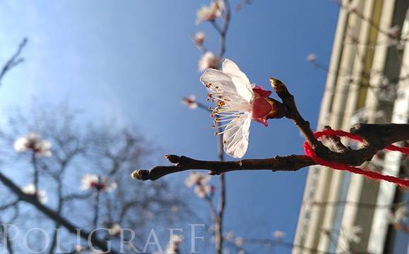 Времето в петък остава хладно, но слънчево