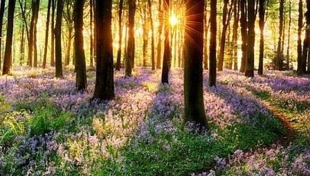 Днес слънчево и малко по-топло с максимални температури между 13° и 18°