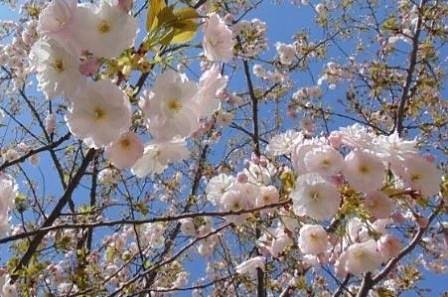 Днес предимно слънчево с максимални температури между 15° и 20°