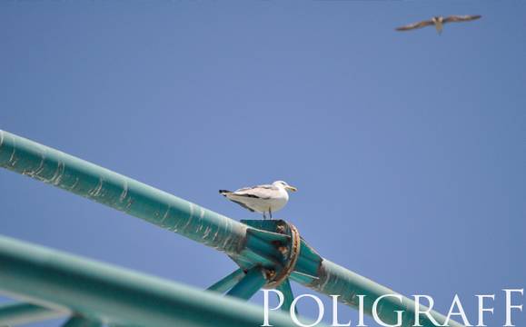 Времето ще бъде предимно слънчево, на места температурите ще стигнат 18 градуса