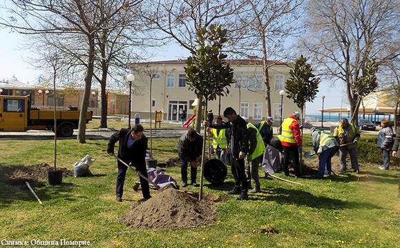 30 дръвчета и 12 магнолии бяха засадени в Поморие по повод Седмицата на гората
