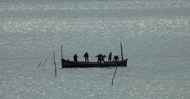 РИБАРИ ИЗЛЯЗОХА НА УЛОВ В БАЛЧИК (ВИДЕО) РАЗЛИЧНИТЕ НОВИНИ DIFFERENT NEWS