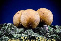 Протеинови топчета TIGERS N-BUT, Протеинови топчета за риболов на шаран и монтаж на косъм