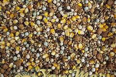 Сухи семена за риболов Particle Multimix