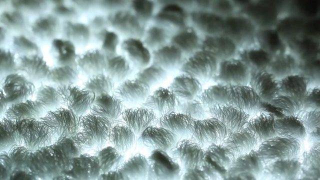 Един нов вид подово осветление като настилка