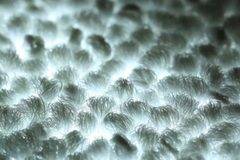 Един нов вид подово осветление като настилка