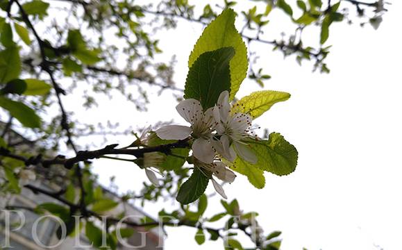 Времето остава облачно, но температурите ще се повишат слабо