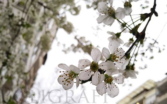 Работната седмица приключва с облачно време и дъжд