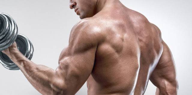 Всичко за фитнеса и тренировките