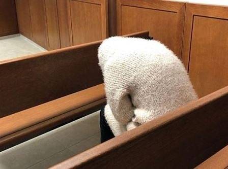 Поискаха постоянен арест за собственичката на кучетата, нахапали четирима души