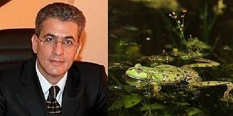 Вижте какво разказва кметът на Пазарджик за едно „проектче“ и „оплождането на жабките“