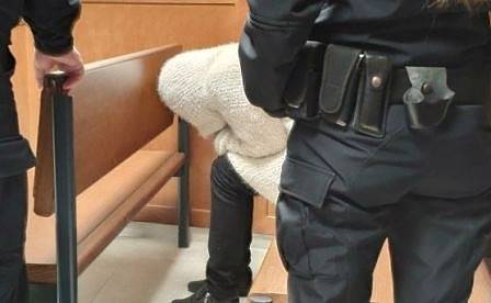 Съдът пусна срещу гаранция от 1000 лева собственичката на ротвайлерите