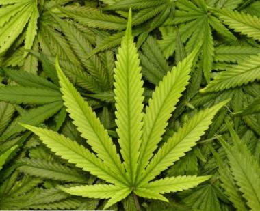 Задържаха 36-годишен мъж за притежание на наркотици