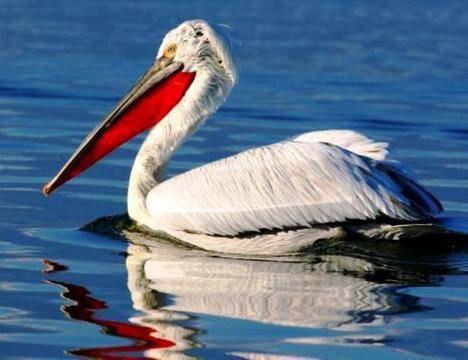 Езерото Керкини