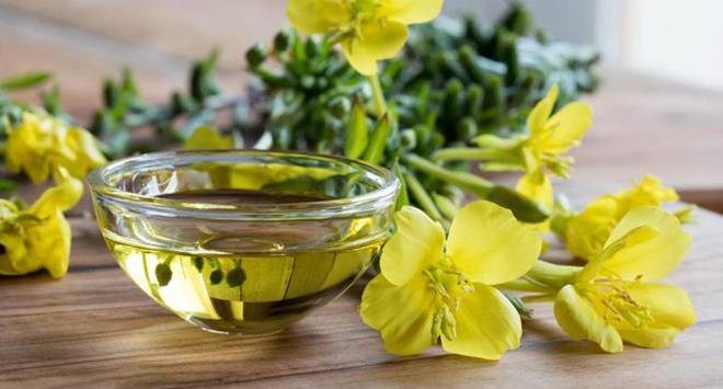 Масло от вечерна иглика – ценен помощник за здравето на жената