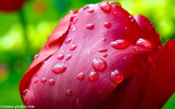 Облачността ще се увеличава, в края на деня са възможни валежи