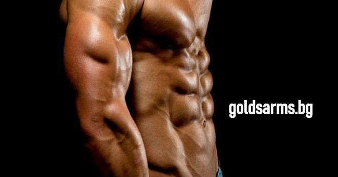 Всичко за SARMs