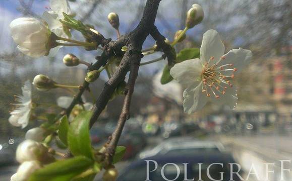 Днес ще бъде предимно слънчево, по Черноморието остава по-прохладно