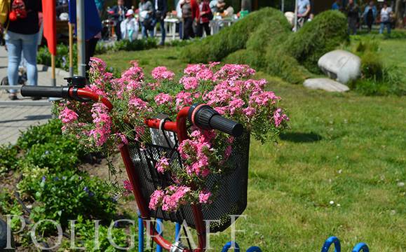 Броени дни до началото на Флора 2019